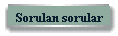 Sorulan sorular